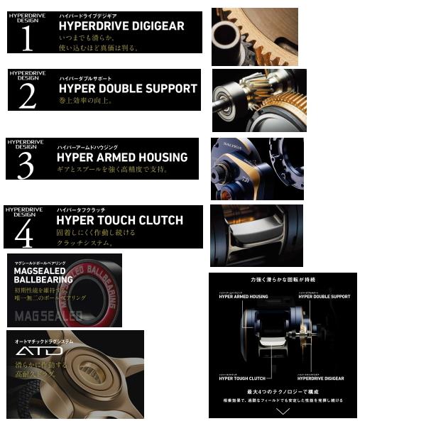 DAIWA（ダイワ） （21年5月新商品） ソルティガ IC 100L(左) （小型