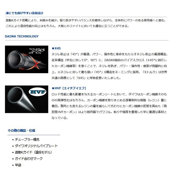 DAIWA（ダイワ） （21年2月新商品） 波濤 遠投 3-53遠投・N （仕舞寸法