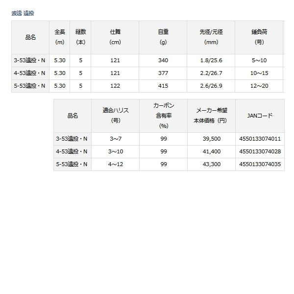 DAIWA（ダイワ） （21年2月新商品） 波濤 遠投 4-53遠投・N （仕舞寸法