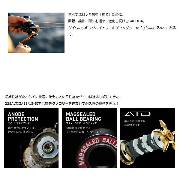 DAIWA（ダイワ） （22年5月新商品） 22 ソルティガ 15-SJ(右) （小型