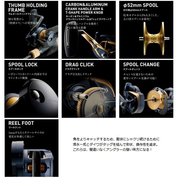 DAIWA（ダイワ） （22年5月新商品） 22 ソルティガ 15L-SJ(左) （小型