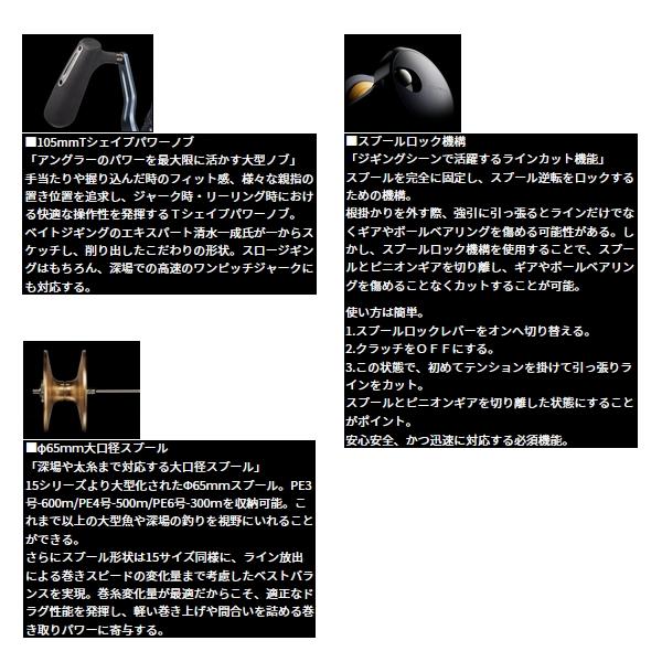 DAIWA（ダイワ） （25年5月新商品） 25 ソルティガ 35(右) （小型商品
