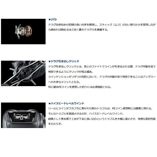DAIWA（ダイワ） （22年5月新商品） 22 シルバーウルフ SV TW PE