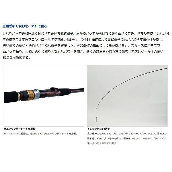 DAIWA（ダイワ） （23年4月新商品） アナリスター 64 80-265・Q （仕舞