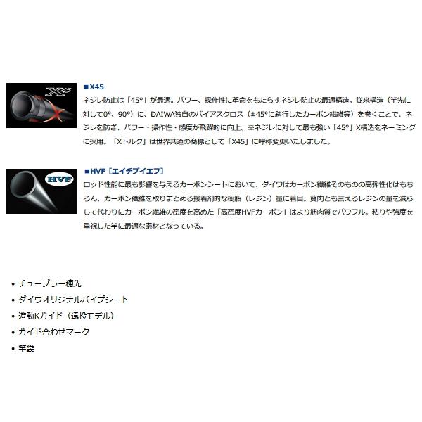 DAIWA（釣り） ≪'22年10月新商品！≫ ダイワ 波濤 遠投 3-45遠