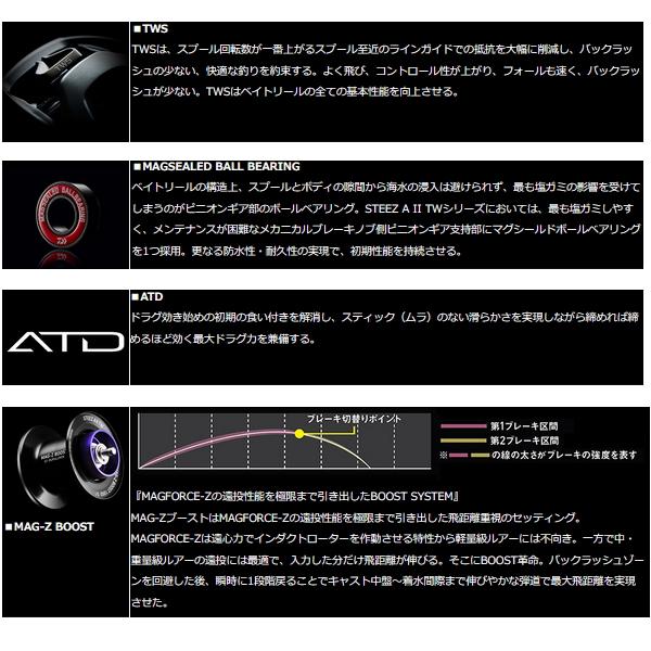ダイワ　スティーズ　A2 TW 1000 ダイワ スティーズ A2 TW 1000 右ハンドル ベイトリール 22年