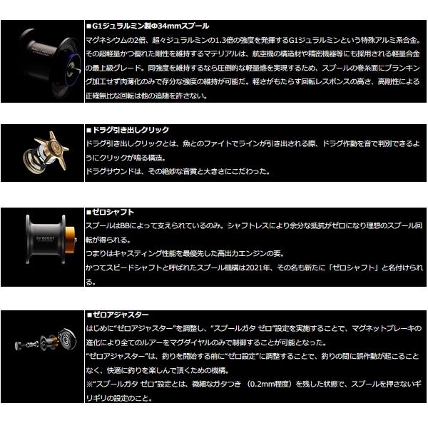 DAIWA（ダイワ） （22年12月新商品） スティーズ A II TW 1000(右