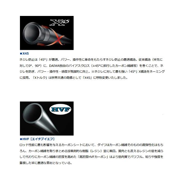 DAIWA（ダイワ） （20年2月新商品） インターライン シーパラダイス MH