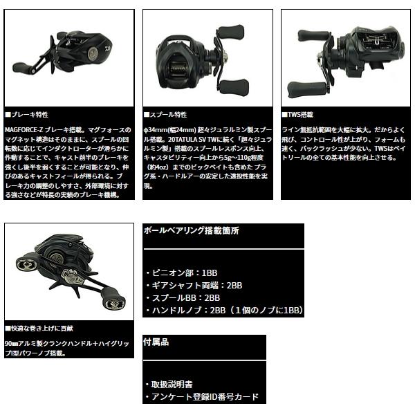 DAIWA（ダイワ） （23年12月新商品） タトゥーラ TW 100H(右) （小型