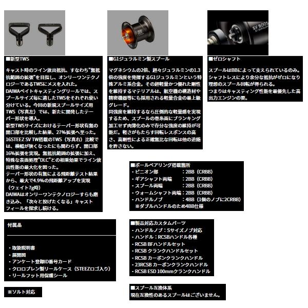 DAIWA（ダイワ） （24年3月新商品） スティーズ SV TW 100(右) （小型