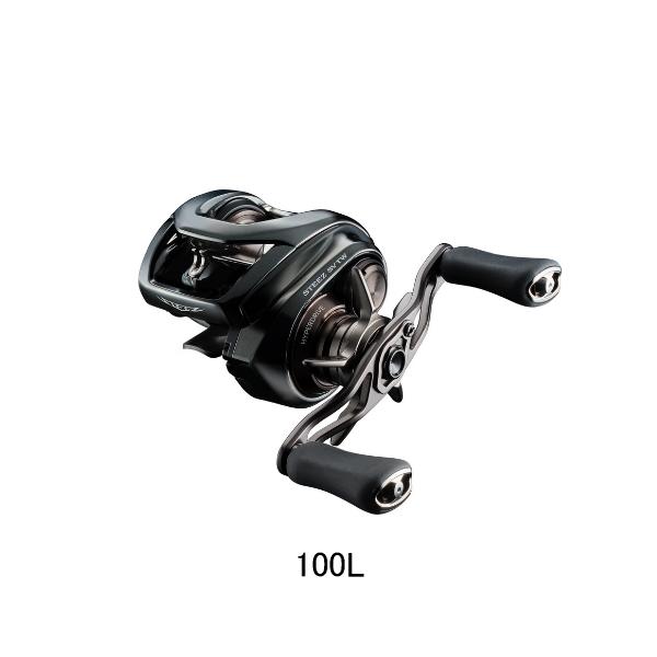 DAIWA（ダイワ） （24年3月新商品） スティーズ SV TW 100L(左) （小型