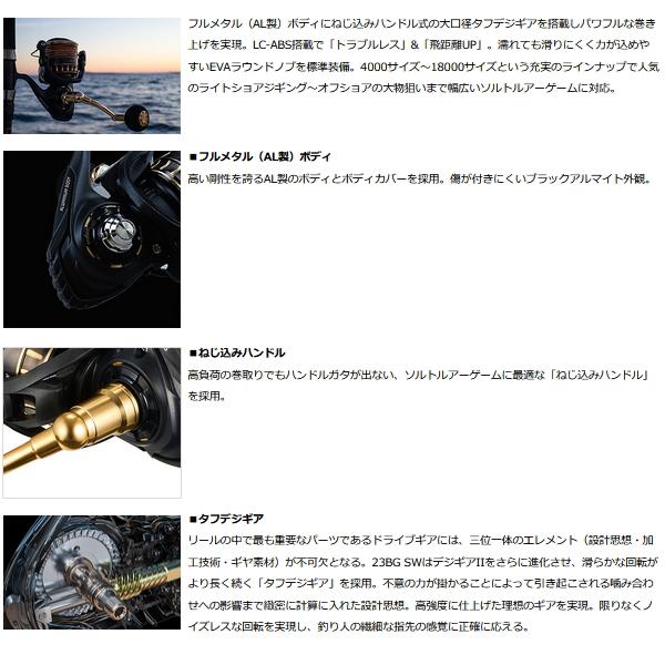 DAIWA（ダイワ） （23年4月新商品） BG SW 10000-H （小型商品