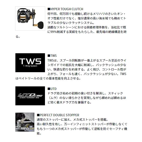 DAIWA（ダイワ） （23年7月新商品） シーホーク TW 遠投 （小型商品