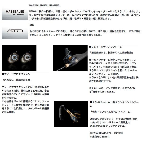 DAIWA（ダイワ） ソルティガ 15(右) （小型商品） : 釣具総合卸売販売