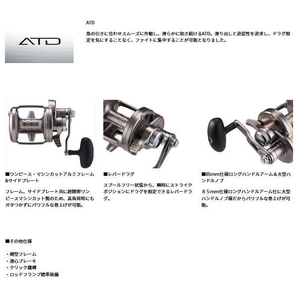 DAIWA（ダイワ） （24年3月新商品） シーライン LD 40P （小型商品