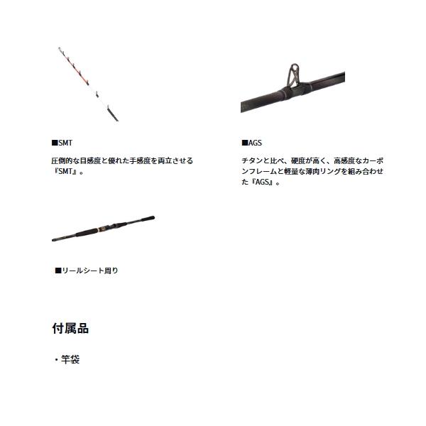 DAIWA（ダイワ） （24年11月新商品） 極鋭 ヤリイカ EX 173・J （仕舞
