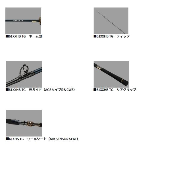 DAIWA（ダイワ） （25年6月新商品） ソルティガ LJ EX 61XXHB TG
