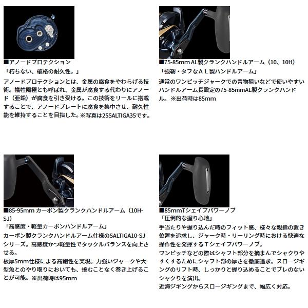 DAIWA（ダイワ） （26年2月新商品） 26 ソルティガ 10HL-SJ（左