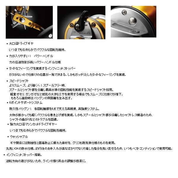 DAIWA（ダイワ） '12 シーライン石鯛 50 （小型商品） : 釣具総合卸売