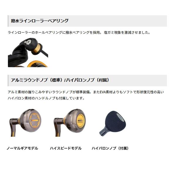 Penn（ペン） オーソリティー 6500HS （返品不可） （小型商品） 爆買
