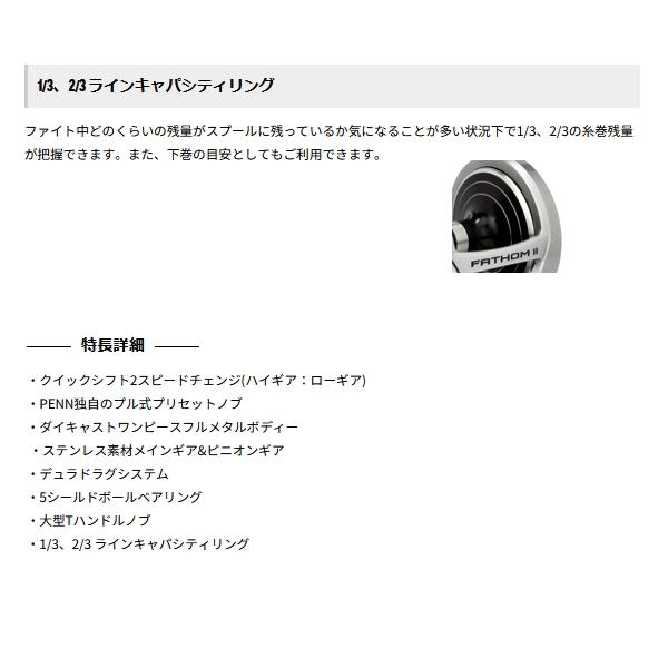 Penn（ペン） ファゾムII 2スピード 25NLD2-L ナロースプール（左
