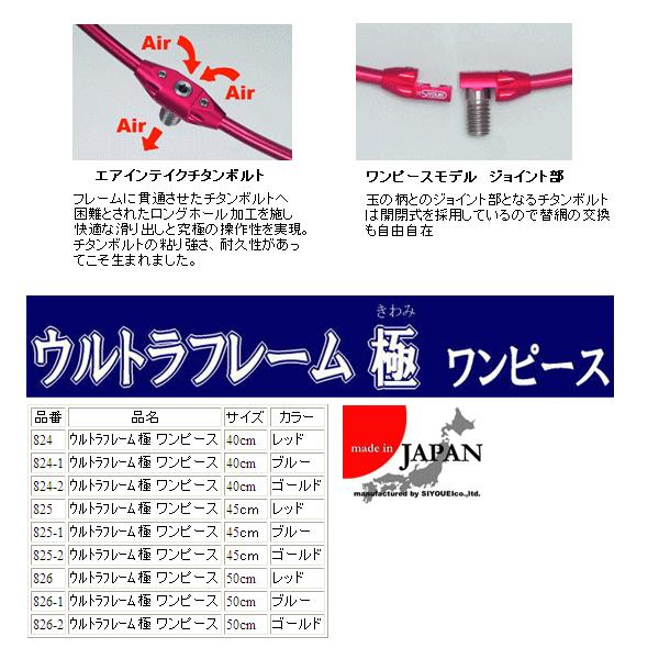 昌栄 ウルトラフレーム極 ワンピース網付 NO.825 レッド 45cm 昌栄 磯