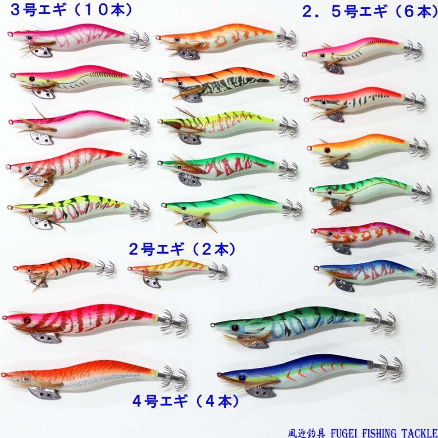釣具 仕掛け 夜光 釣り エギ 餌木 62柄 62本 H20egi62 2.0/2.5/3.0/3.5