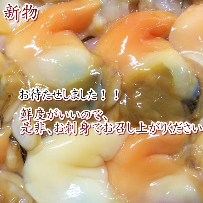 天然青柳 バカ貝 むき身１０個入り 愛知県産 Aoyagisashimi10 岬だより 通販 Yahoo ショッピング