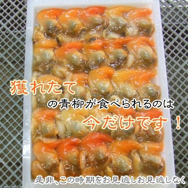 天然青柳 バカ貝 むき身１０個入り 愛知県産 Aoyagisashimi10 岬だより 通販 Yahoo ショッピング