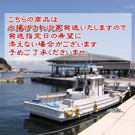 【3月末までの期間限定・特別販売】青柳 アオヤギ 小柱 セット お刺身 新鮮な剥きたてをお届け！ 姫貝 バカ貝｜fugu｜12