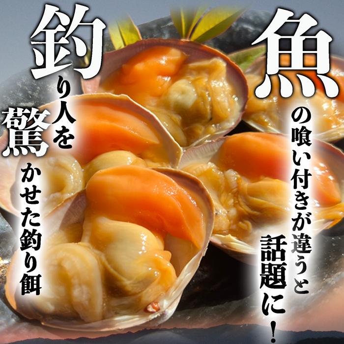 【数量限定・特別販売】 アオヤギ 釣りエサ 150ｇ入り (青柳) (釣り餌) 送料無料　｜fugu｜04