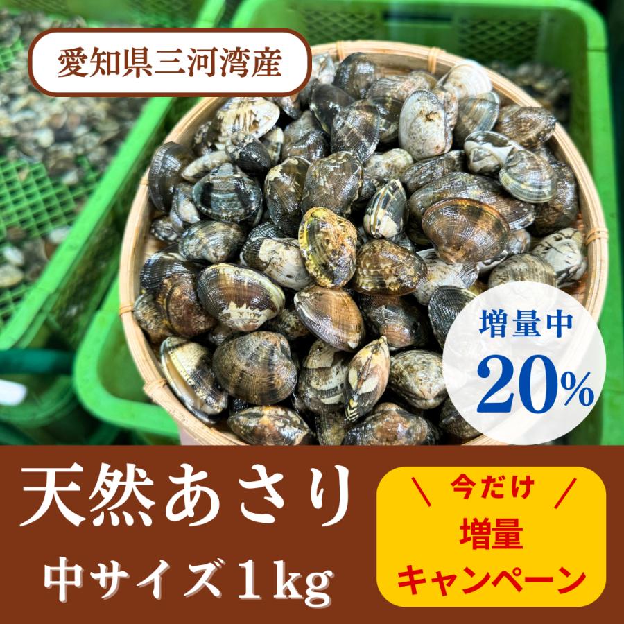 2025年3月〜発売開始!あさり アサリ(中)1kg 天然 砂抜き 2025年3月〜発売開始!あさり アサリ(中)1kg 天然 砂抜き