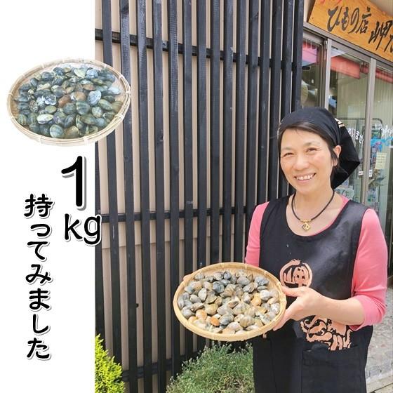 2025年3月〜発売開始!あさり アサリ(中)1kg 天然 砂抜き 2025年3月〜発売開始!あさり アサリ(中)1kg 天然 砂抜き