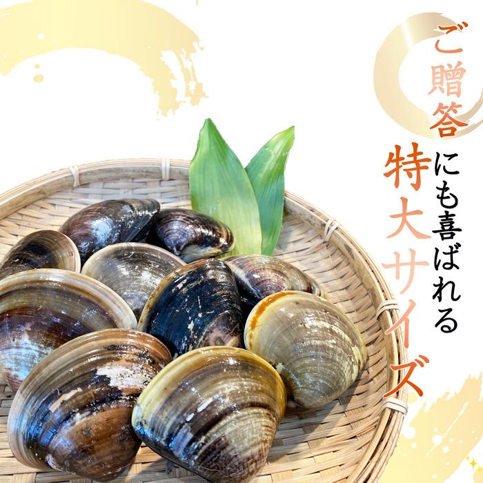 完成品 はまぐり 大サイズ 5kg 約70粒 砂抜き済み 送料無料 桑名 畜養 中国産 約60g-80gの貝 焼き ハマグリ お食い初め お吸い物 はまぐり丸元水産 高級 ギフト 通販 国産 冷凍 はまぐり 1kg 砂抜き済み 送料無料 蛤 ハマグリ 貝 ギフト お吸い物 味噌汁 酒蒸し お食い初め 栄養 料理 レシピ 調理 お取り寄せ グルメ