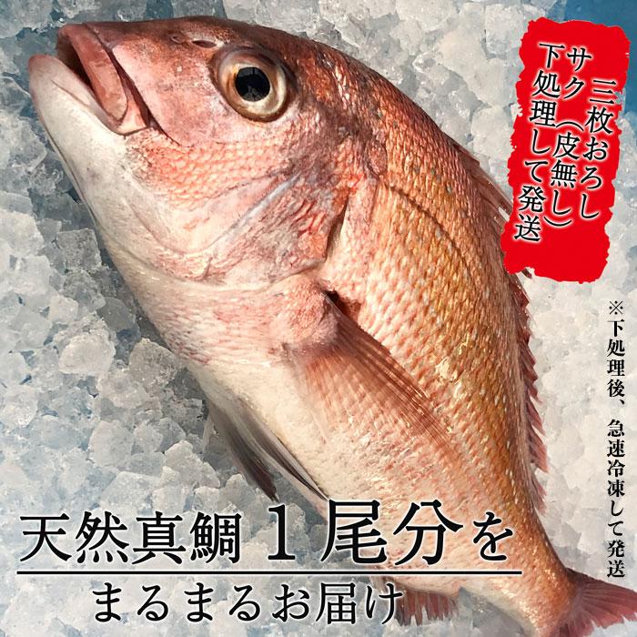 鯛 天然 真鯛 お刺身 １匹まるまる (５〜６人前) 冷凍｜fugu｜03