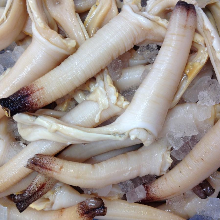 白みる貝むき身 １ｋｇ 白みる貝 白ミル貝 愛知県三河湾産 Mirumukimi1 岬だより 通販 Yahoo ショッピング