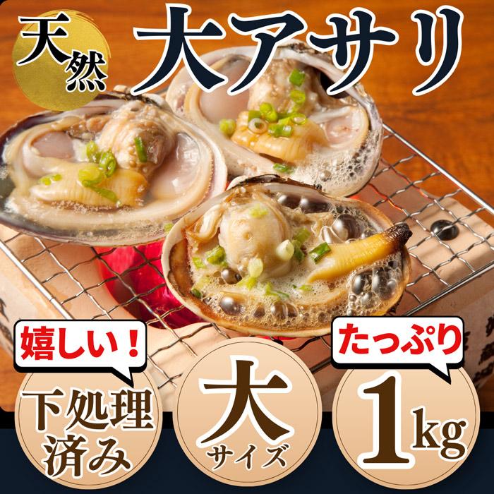 大あさり片貝 大アサリ ８ １０片貝前後 大サイズ ひと口では食べ