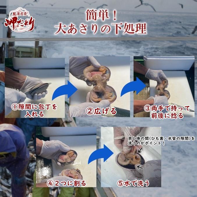 大アサリ 活大あさり (タレ付き) 2kg ちょっと小さめな大 大アサリ 活大あさり (タレ付き) 2kg ちょっと小さめな大