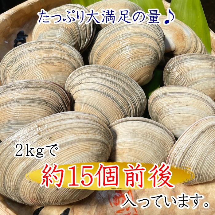 大アサリ 活大あさり (タレ付き) 2kg ちょっと小さめな大 大アサリ 活大あさり (タレ付き) 2kg ちょっと小さめな大
