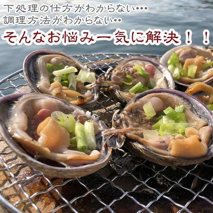 専門店 職人漁師が採る天然 茂牡蠣 小2kg入り 6 8個 お届け Fucoa Cl