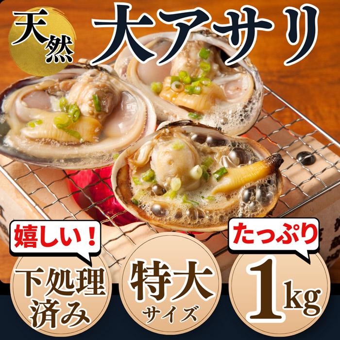 大あさり片貝 大アサリ ６片貝前後 特大サイズ ひと口では食べられない大あさり 愛知県産 Ooasaritokudaikatakai 岬だより 通販 Yahoo ショッピング