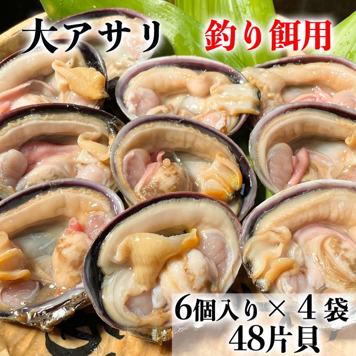 釣り餌 大アサリ 釣りエサ 48片貝 エサ 石鯛 釣り 送料無料 :ooasarituriesayou:岬だより Yahoo!店 - Fugu Ooasarituriesayou