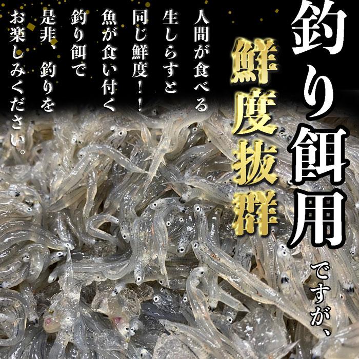 送料込み』釣り餌用冷凍しらす混じり多め25キロ