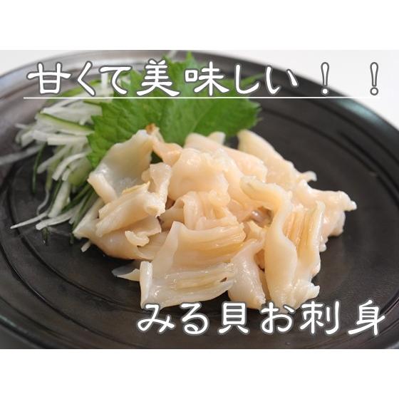 新品 正規品 天然活き白みる貝 中１ｋｇ みる貝 ミル貝 愛知県産 Materialworldblog Com