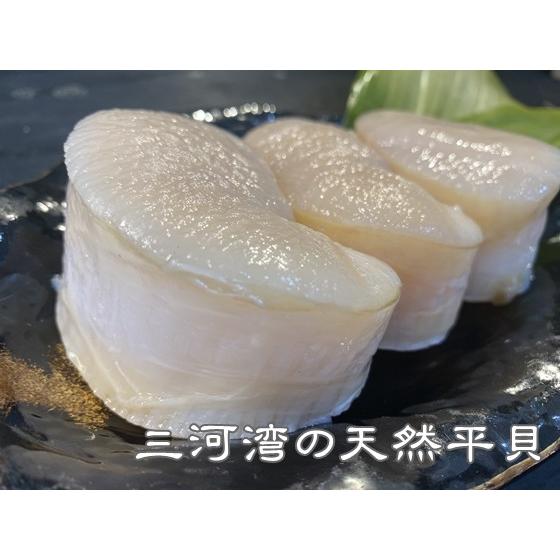 平貝 タイラギ 天然平貝 特大１個 愛知県産 Taira 岬だより 通販 Yahoo ショッピング