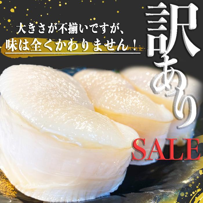 【期間限定・特別販売】 平貝 (貝柱のみ) お刺身 サイズ色々５個セット (愛知県産) 送料無料 天然｜fugu｜03