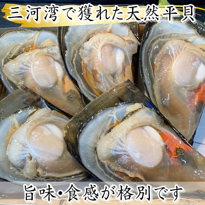 【期間限定・特別販売】 平貝 (貝柱のみ) お刺身 サイズ色々５個セット (愛知県産) 送料無料 天然｜fugu｜07