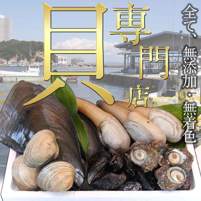 【期間限定・特別販売】平貝 (貝柱のみ) 特選５個セット (特大サイズ) 貝 お刺身 (愛知県産)｜fugu｜03