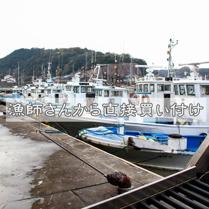 平貝 タイラギ 天然平貝 大１個 愛知県産 Tairagidai 岬だより 通販 Yahoo ショッピング