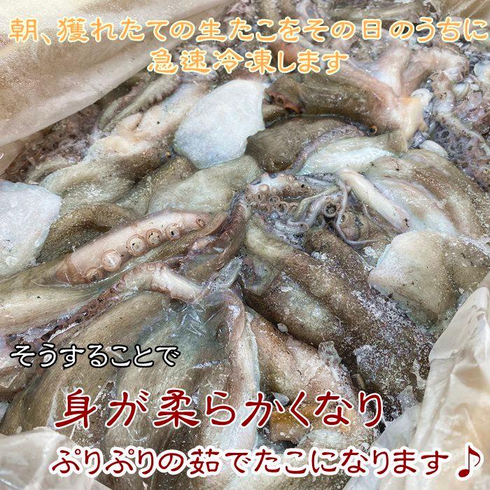 たこ セット 茹でたこ たこ干物 日間賀島 真蛸 Takosetto 岬だより 通販 Yahoo ショッピング